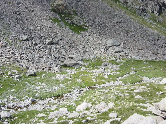 dsc02738.jpg