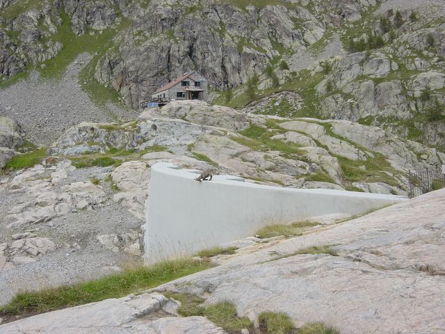 dsc02740.jpg