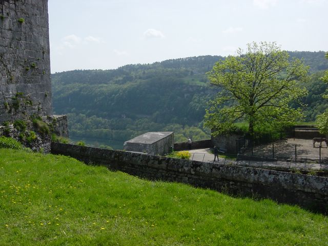 dsc02444.jpg