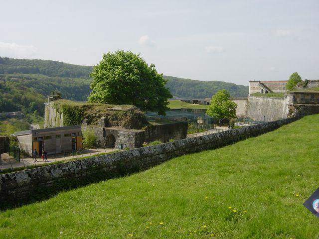dsc02445.jpg