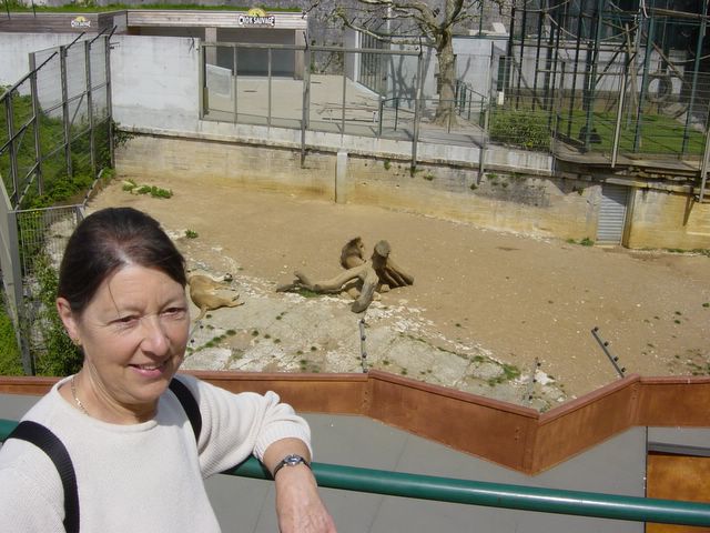 dsc02448.jpg