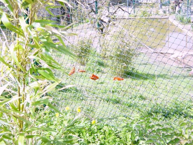 dsc02449.jpg