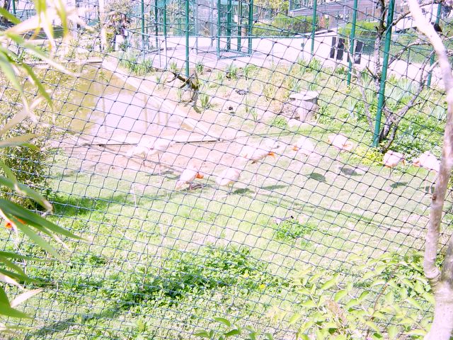 dsc02450.jpg