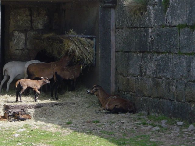 dsc02451.jpg