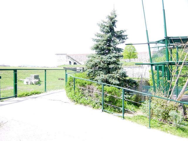 dsc02452.jpg