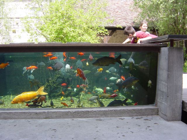 dsc02455.jpg