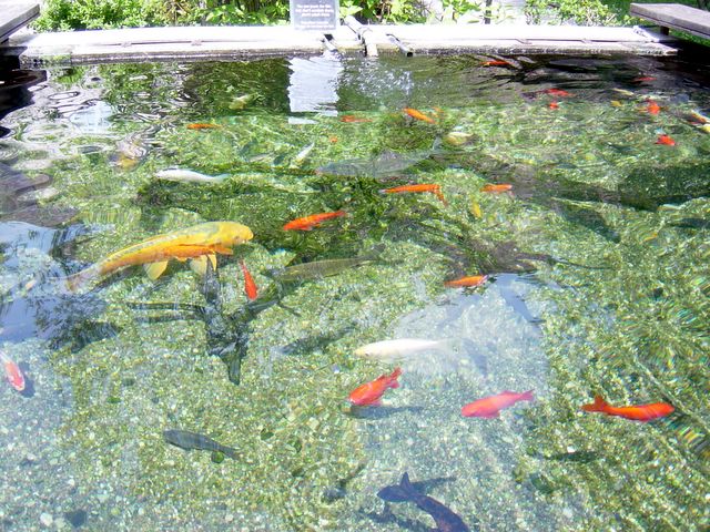 dsc02456.jpg