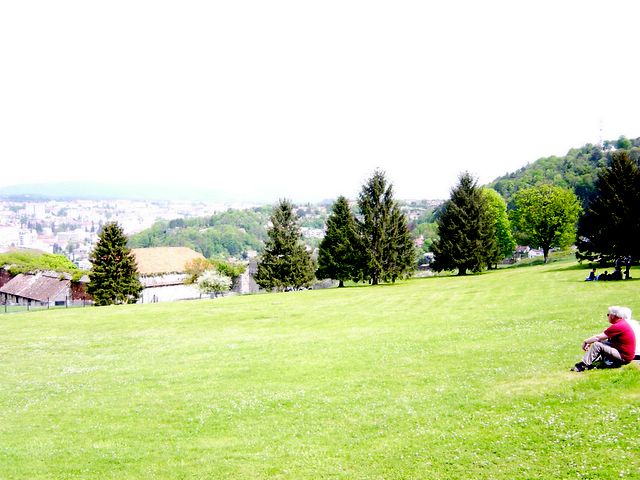 dsc02458.jpg