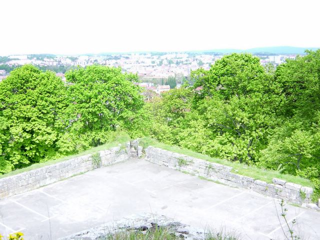 dsc02459.jpg