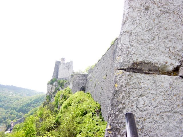 dsc02464.jpg