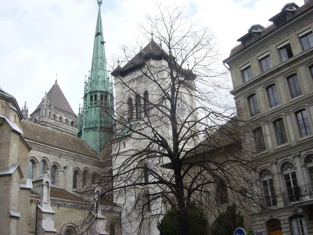 dsc03574.jpg