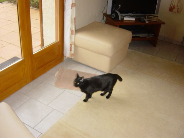 dsc03594.jpg