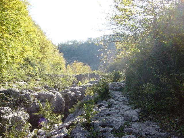 dsc03454.jpg
