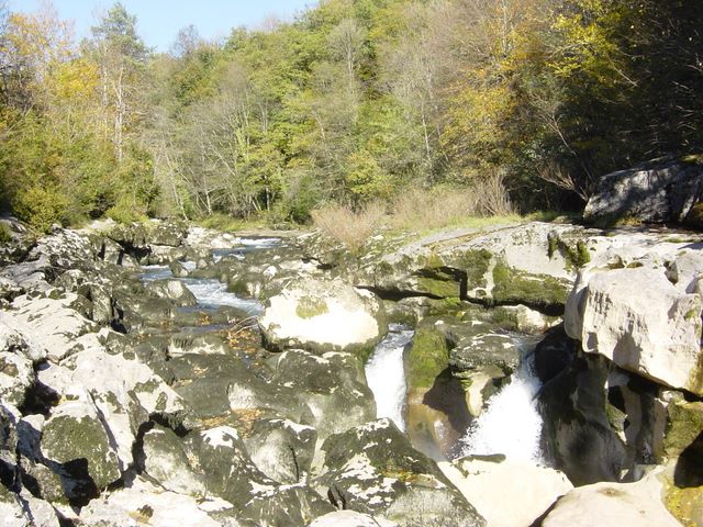 dsc03458.jpg