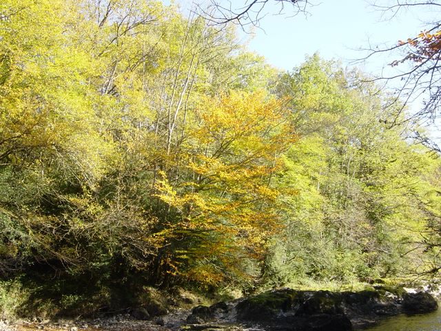 dsc03460.jpg