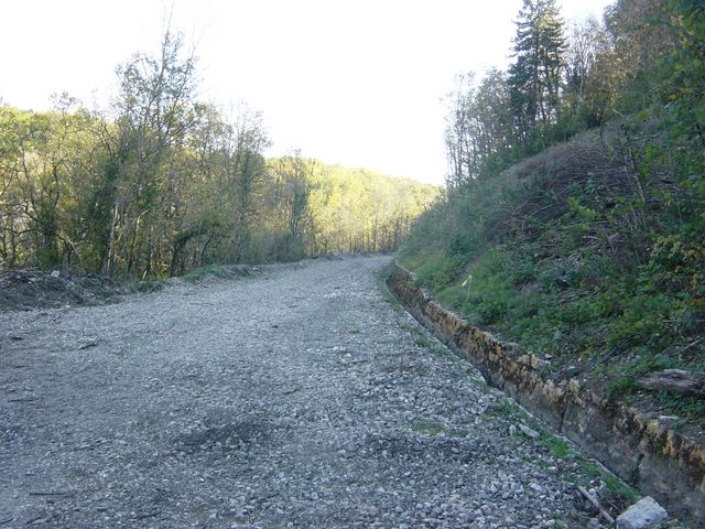 dsc03464.jpg