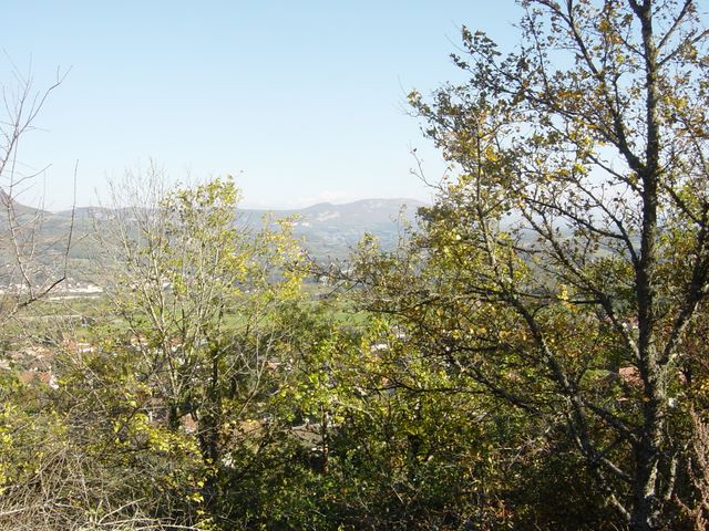 dsc03465.jpg