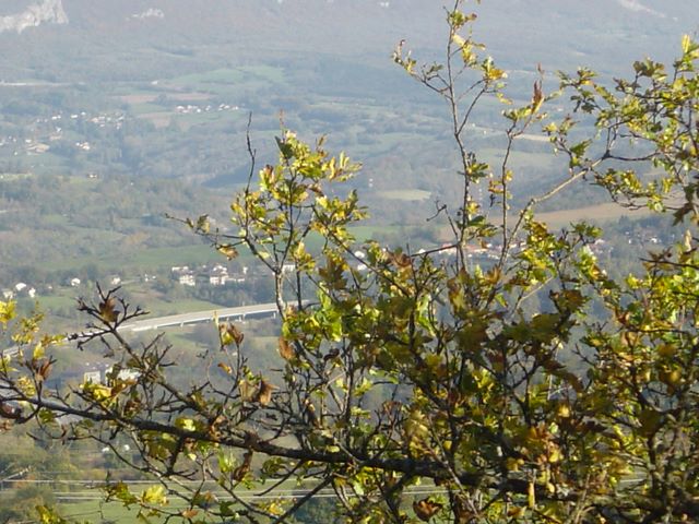 dsc03466.jpg