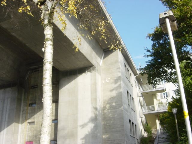 dsc03496.jpg