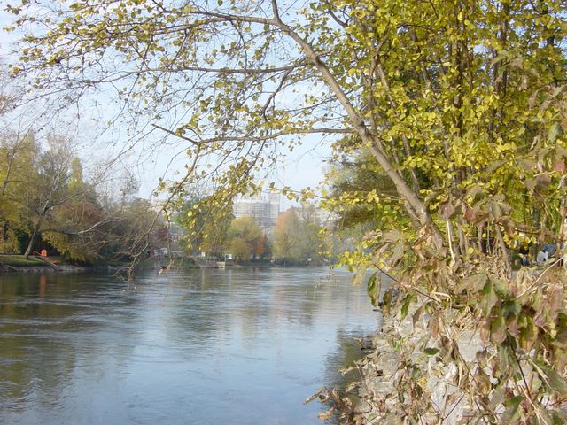 dsc03497.jpg