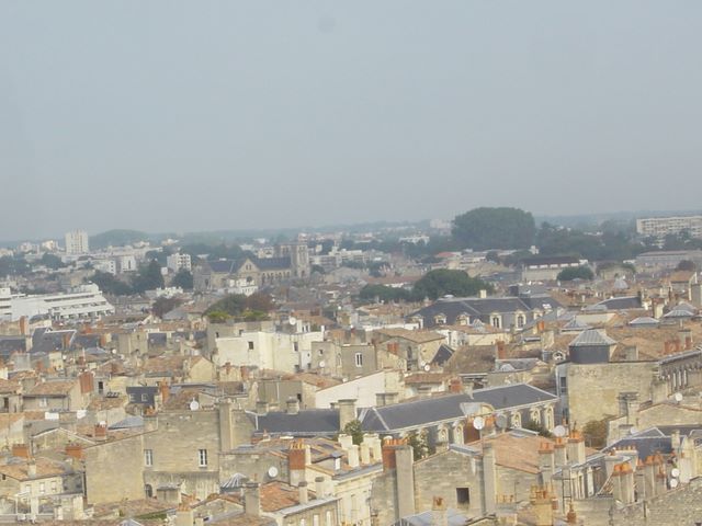 dsc03398.jpg