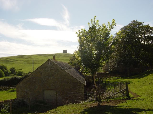 dsc03280.jpg