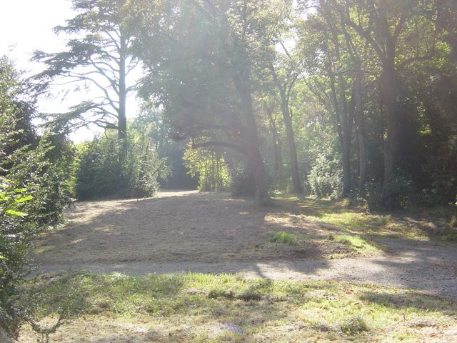 dsc03438.jpg