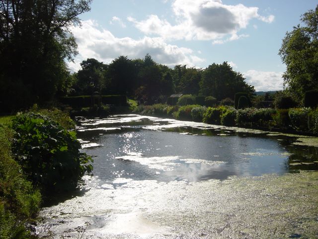 dsc03264.jpg