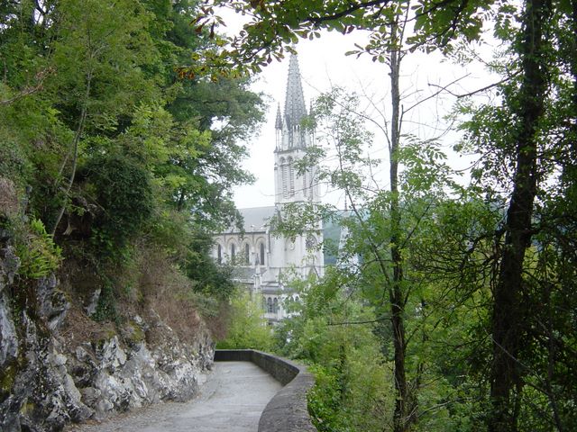 dsc03350.jpg