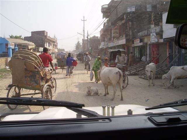a2_janakpur_our_closest_town_for_shopping1.jpg