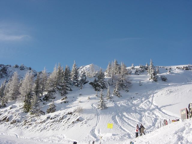 dsc03052.jpg