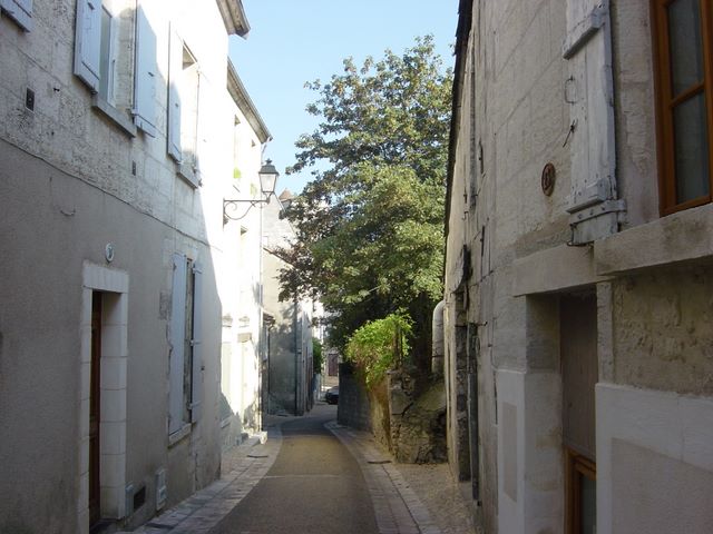 dsc03281.jpg