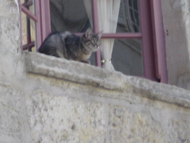 dsc03290.jpg