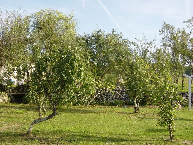 dsc03322.jpg