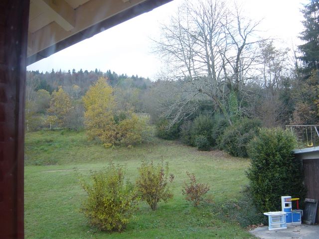 dsc03511.jpg