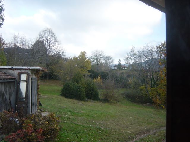 dsc03514.jpg