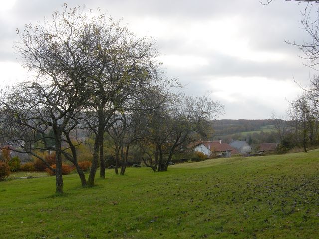 dsc03517.jpg