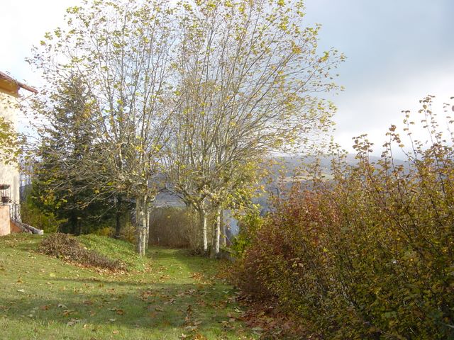 dsc03521.jpg