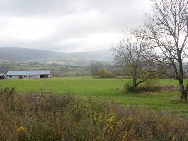 dsc03529.jpg