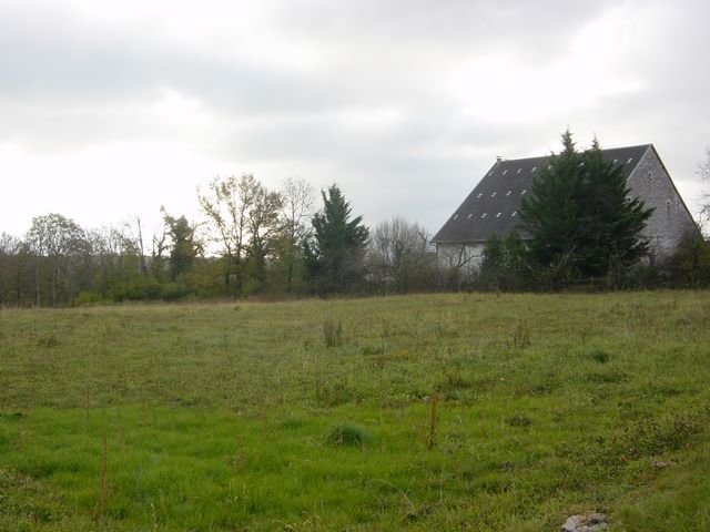 dsc03534.jpg