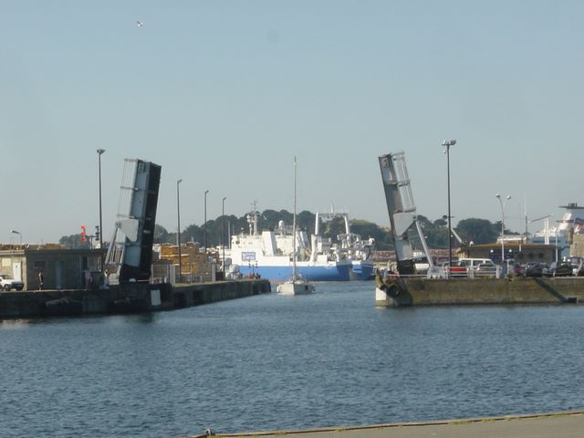 dsc03231.jpg