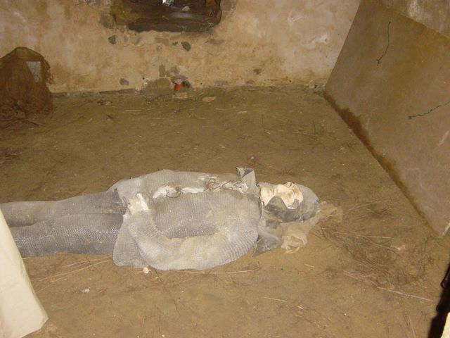 dsc03253.jpg