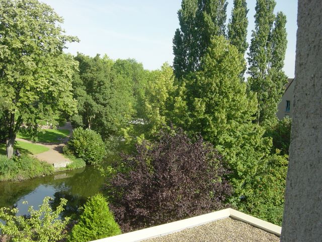 dsc03141.jpg