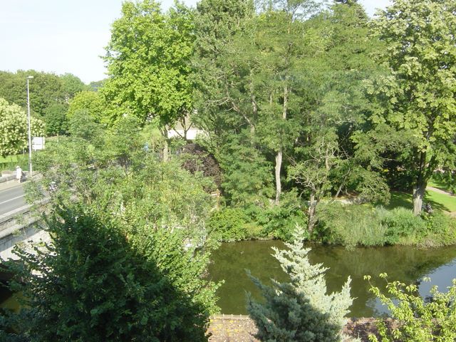 dsc03142.jpg