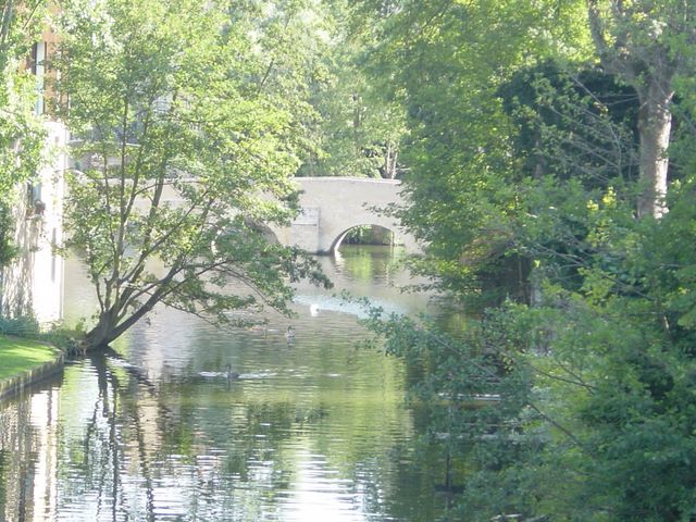 dsc03144.jpg
