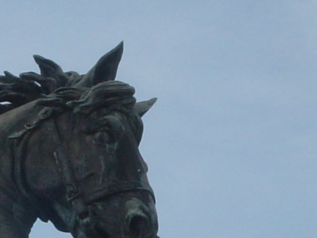 1_0_dsc03197.jpg
