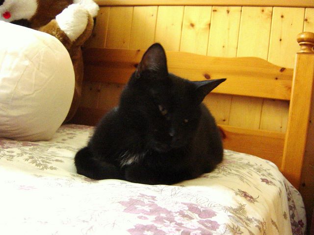 dsc03911.jpg