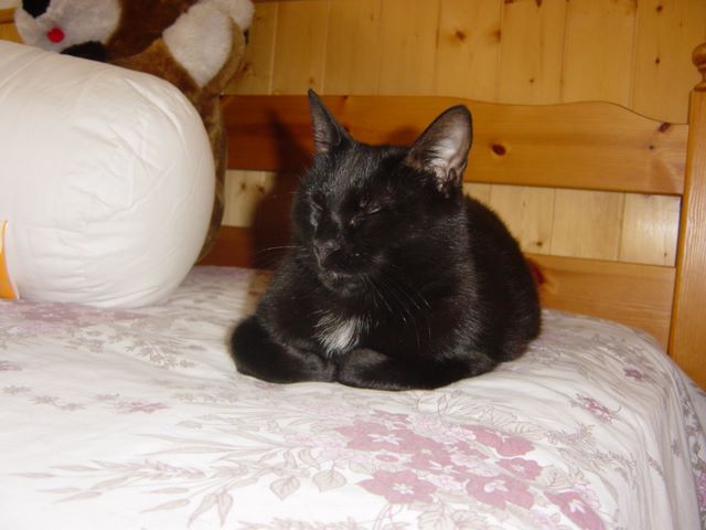 dsc03913.jpg