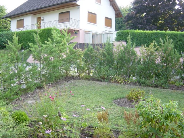 dsc03915.jpg