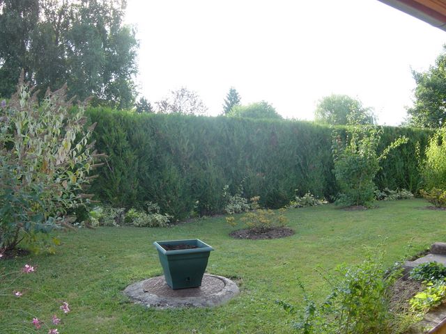 dsc03917.jpg